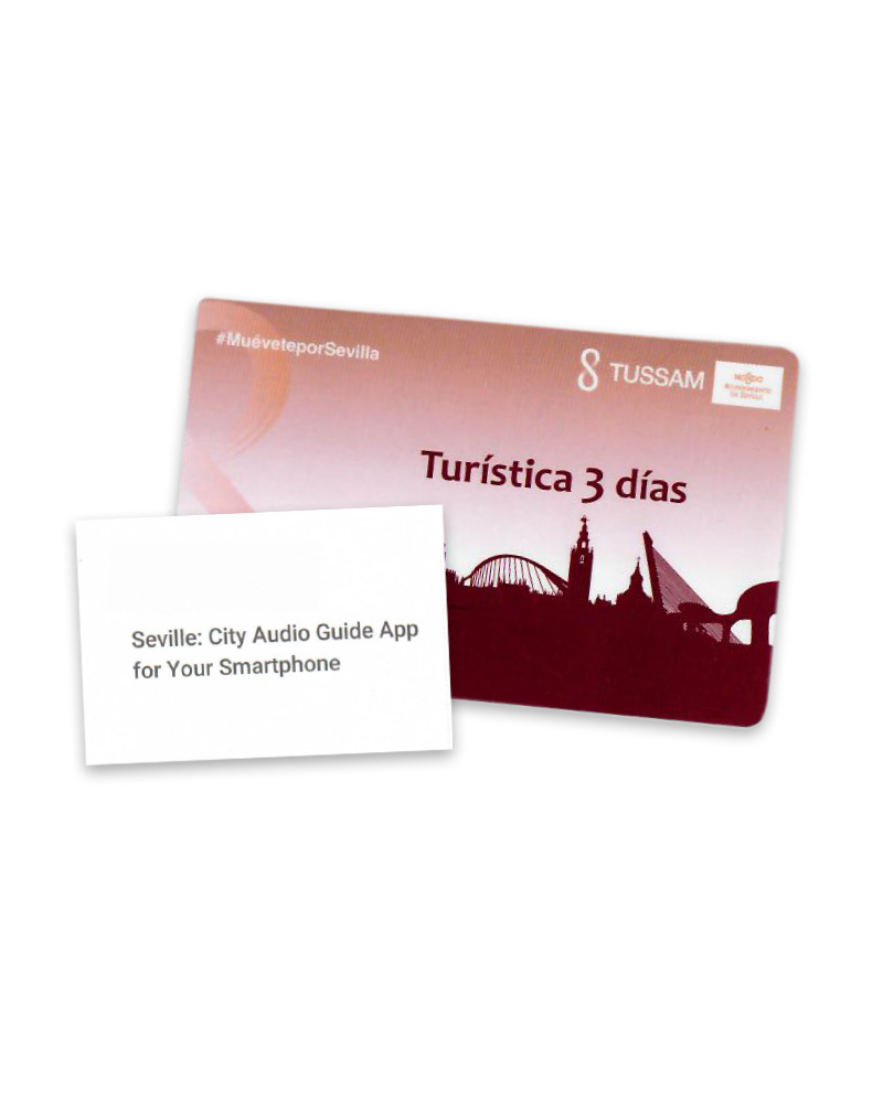Seville Travel Ticket